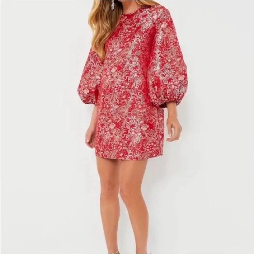 Hyacinth House Red Jacquard Janie Mini Dress ballon Sleeve NWT large - Picture 3 of 12